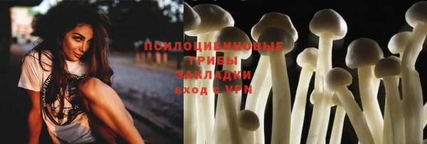 кокс Лабытнанги