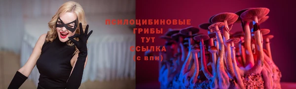 кокс Лабытнанги