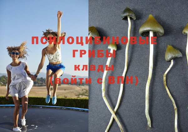 таблы Ладушкин