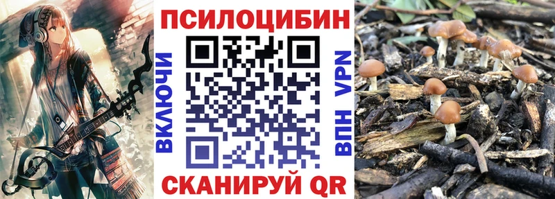 Псилоцибиновые грибы Cubensis  Невьянск 